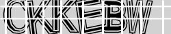 BotDetectCaptcha