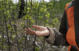~/Root_Storage/AR/EB_List_Page/Prospecting_for_natural_resources.png